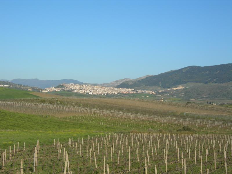 Vista di Sambuca di Sicilia, Agrigento (92017)