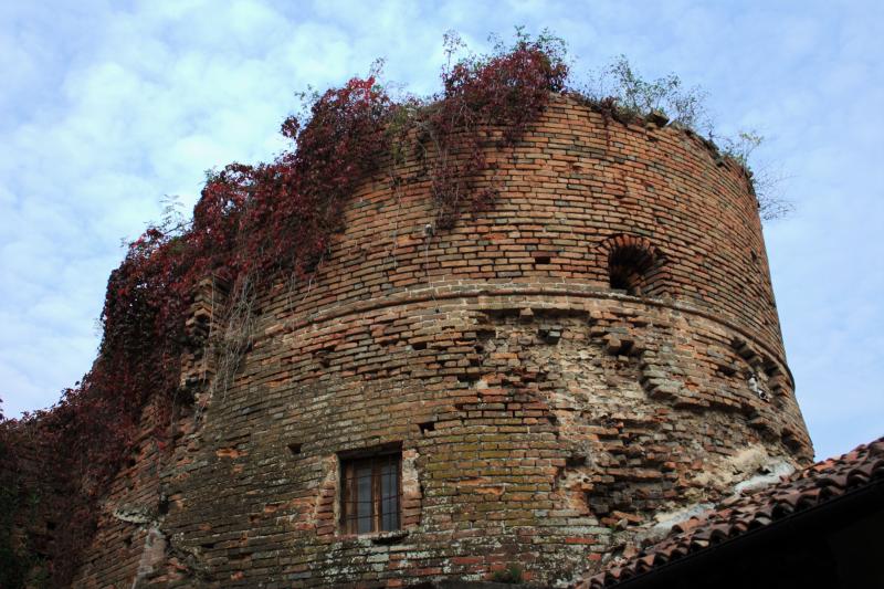 Vista di Bassignana, Alessandria (15042)