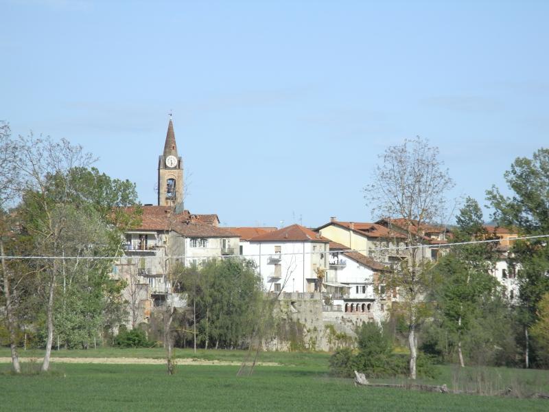 Vista di Bistagno, Alessandria (15012)
