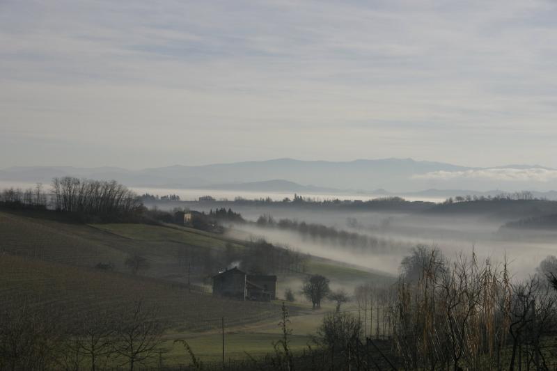 Vista di Carpeneto, Alessandria (15071)