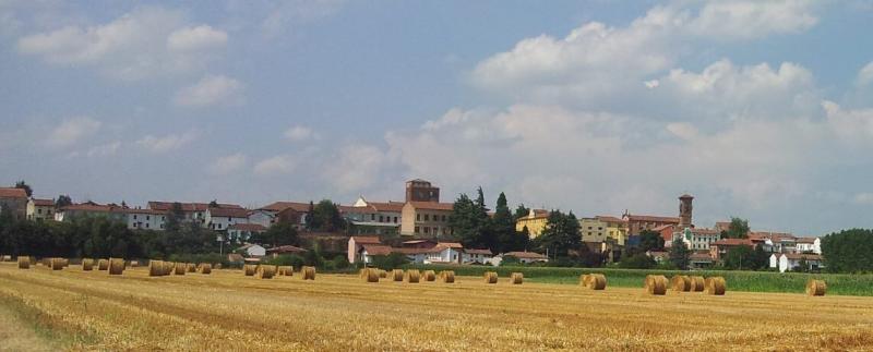Vista di Felizzano, Alessandria (15023)