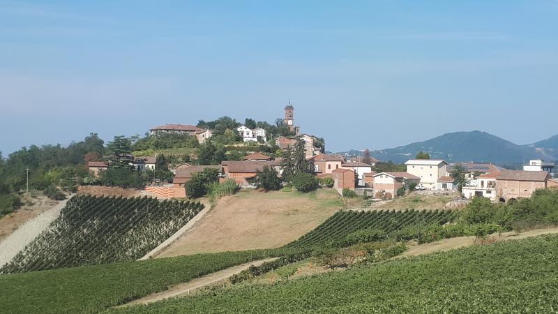 Vista di Monleale, Alessandria (15059)