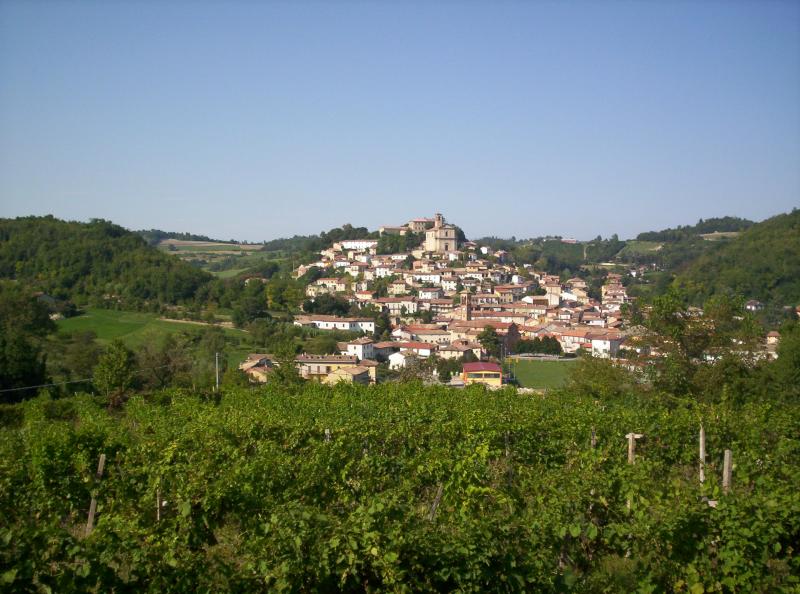 Vista di Ottiglio, Alessandria (15038)