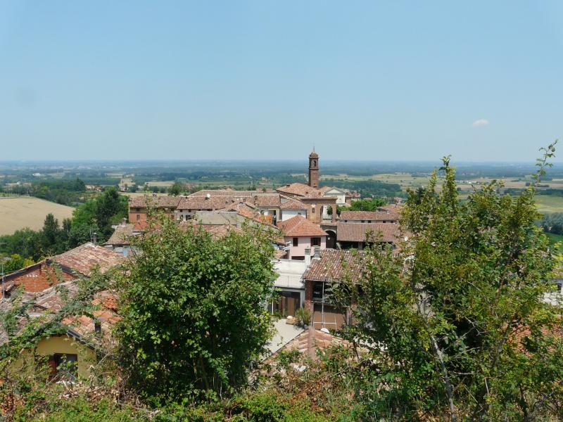 Vista di Pecetto di Valenza, Alessandria (15040)