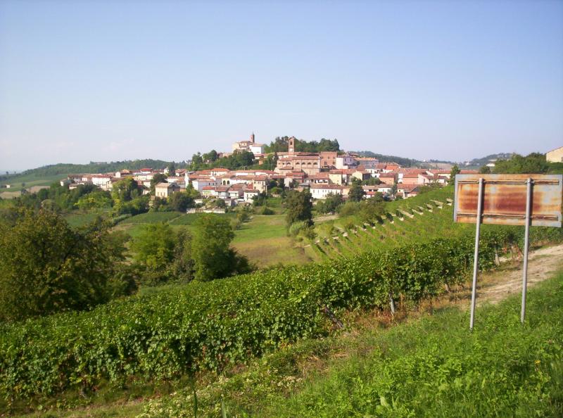 Vista di Sala Monferrato, Alessandria (15030)