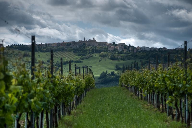 Vista di Cupramontana, Ancona (60034)