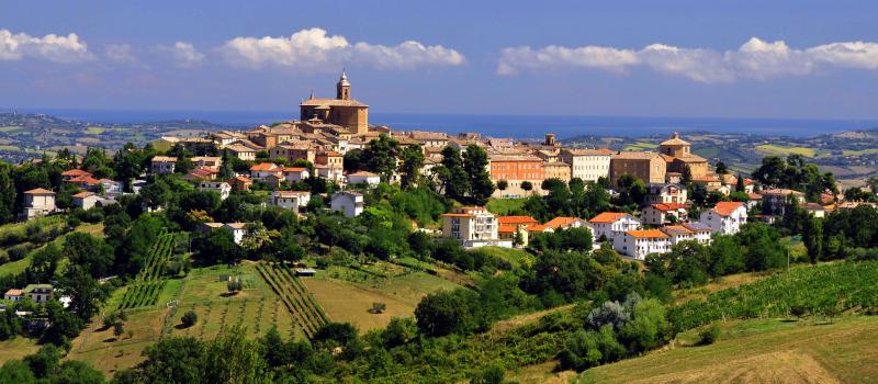 Vista di Montecarotto, Ancona (60036)