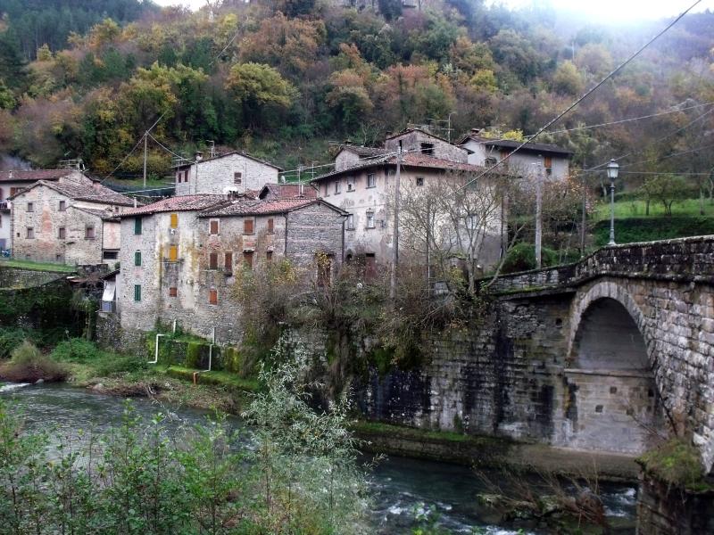 Vista di Castel San Niccolò, Arezzo (52018)