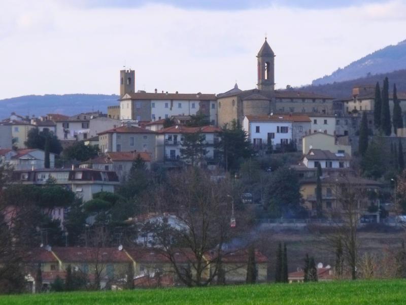 Vista di Castiglion Fibocchi, Arezzo (52029)