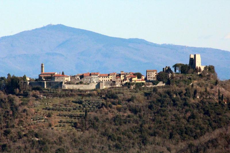 Vista di Civitella in Val di Chiana, Arezzo (52041)