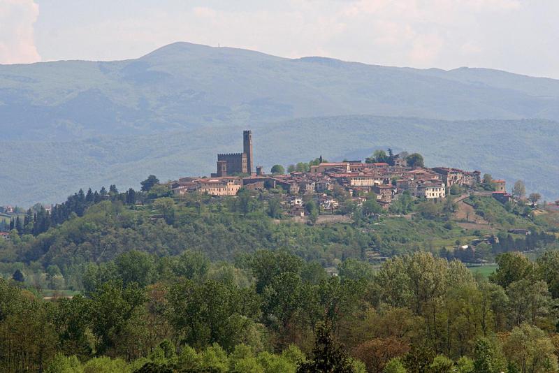 Vista di Poppi, Arezzo (52014)