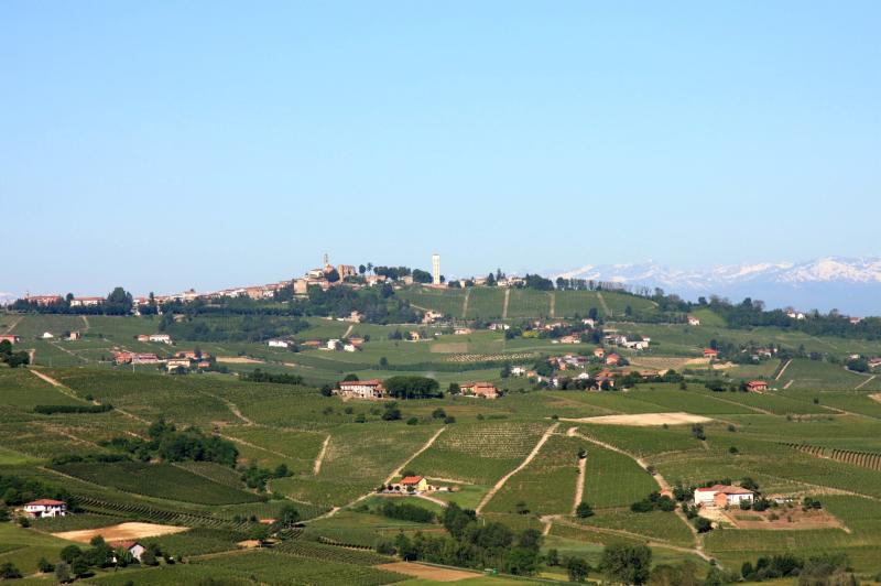 Vista di Calosso, Asti (14052)