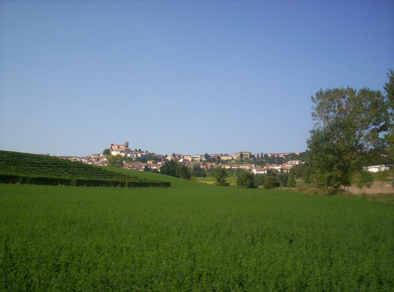 Vista di Casorzo Monferrato, Asti (14032)