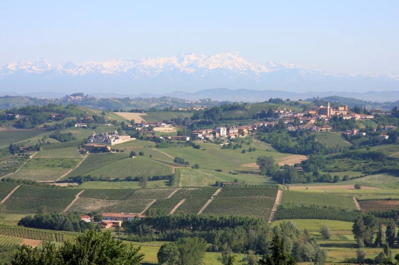 Vista di Castelnuovo Calcea, Asti (14040)