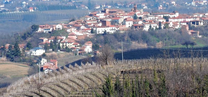 Vista di Maranzana, Asti (14040)
