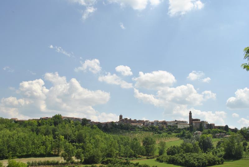 Vista di Montechiaro d'Asti, Asti (14025)