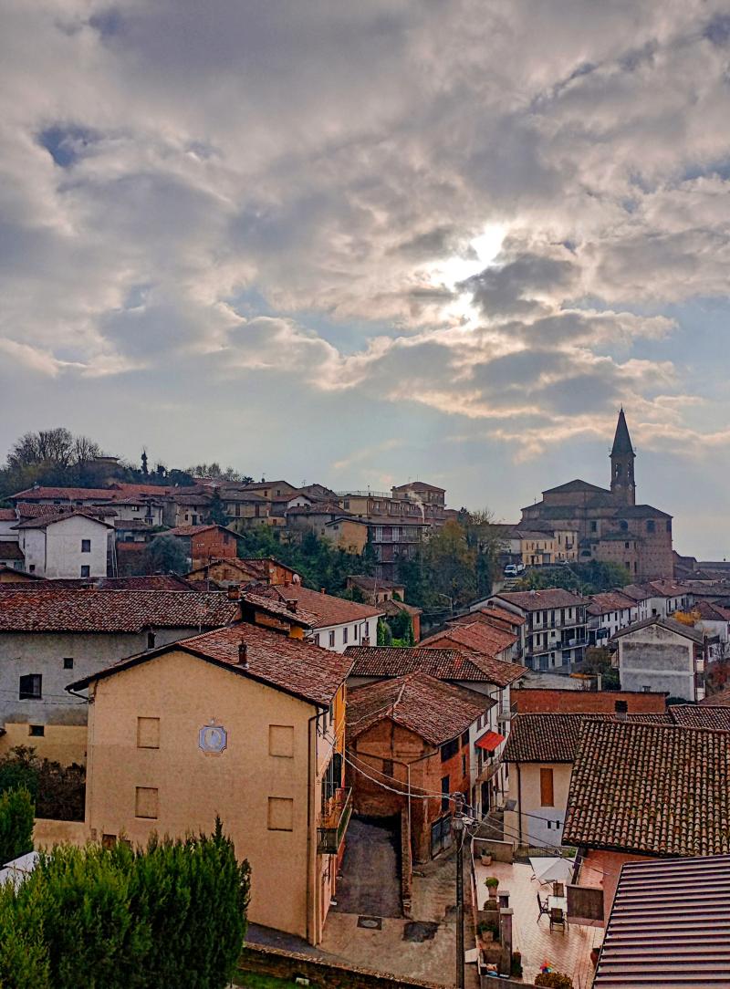 Vista di Tonco, Asti (14039)