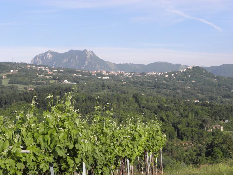 Vista di Montefalcione, Avellino (83030)