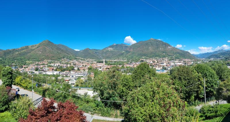 Vista di Albino, Bergamo (24021)