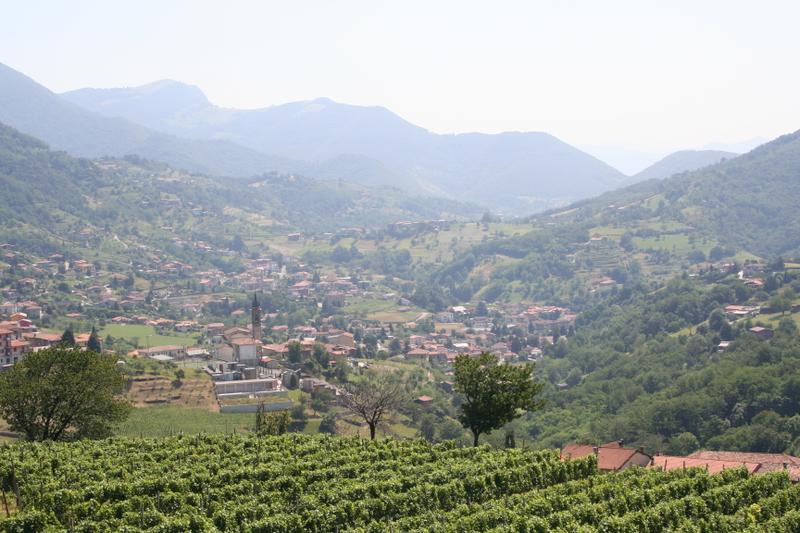 Vista di Foresto Sparso, Bergamo (24060)