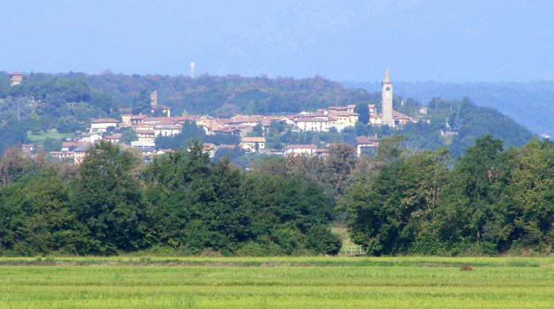 Vista di Salussola, Biella (13885)