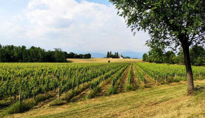 Vista di Capriano del Colle, Brescia (25020)