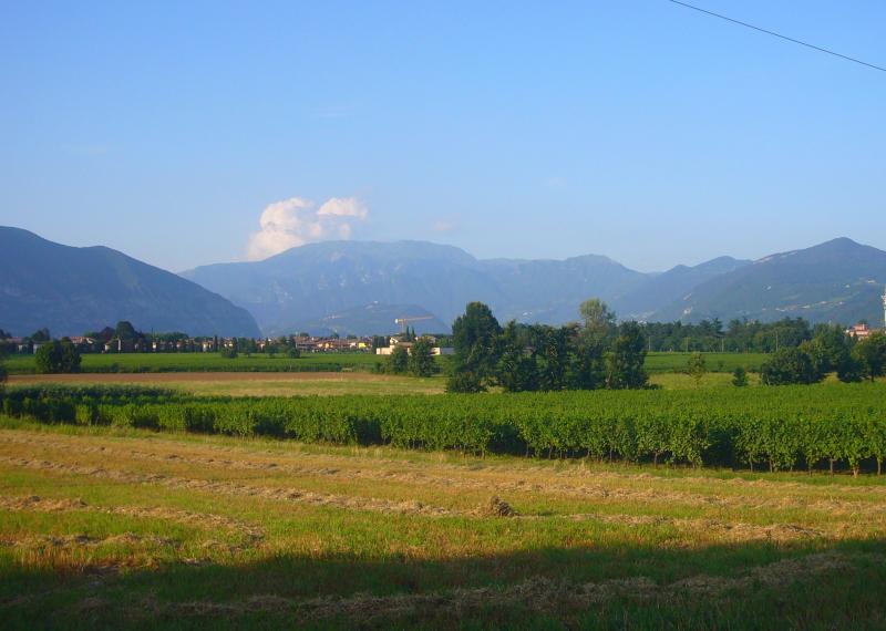 Vista di Corte Franca, Brescia (25040)