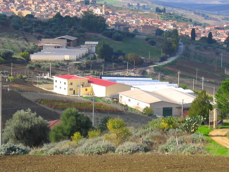 Vista di Villalba, Caltanissetta (93010)