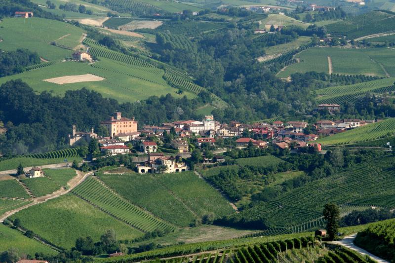 Vista di Barolo, Cuneo (12060)