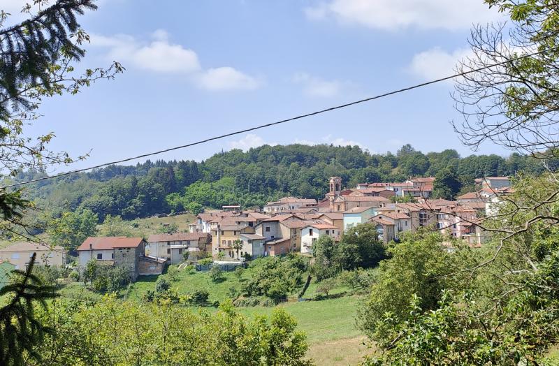 Vista di Castelnuovo di Ceva, Cuneo (12070)