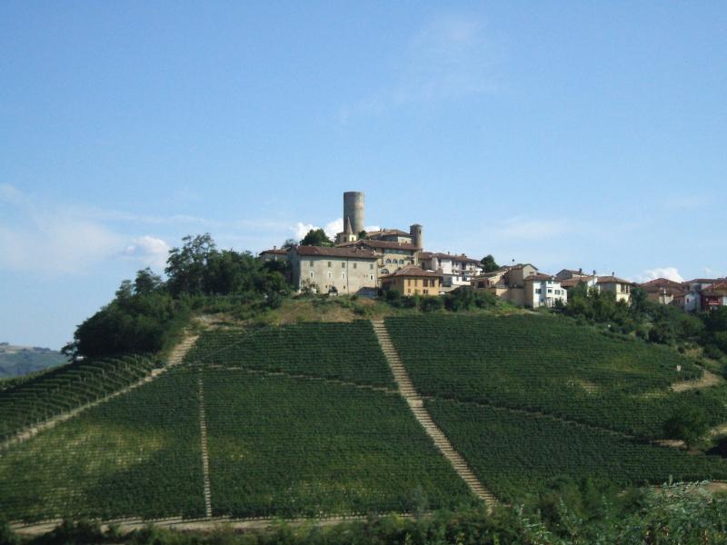 Vista di Castiglione Falletto, Cuneo (12060)