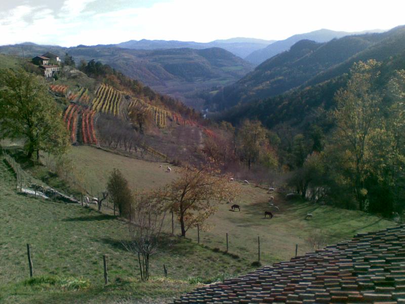 Vista di Castino, Cuneo (12050)