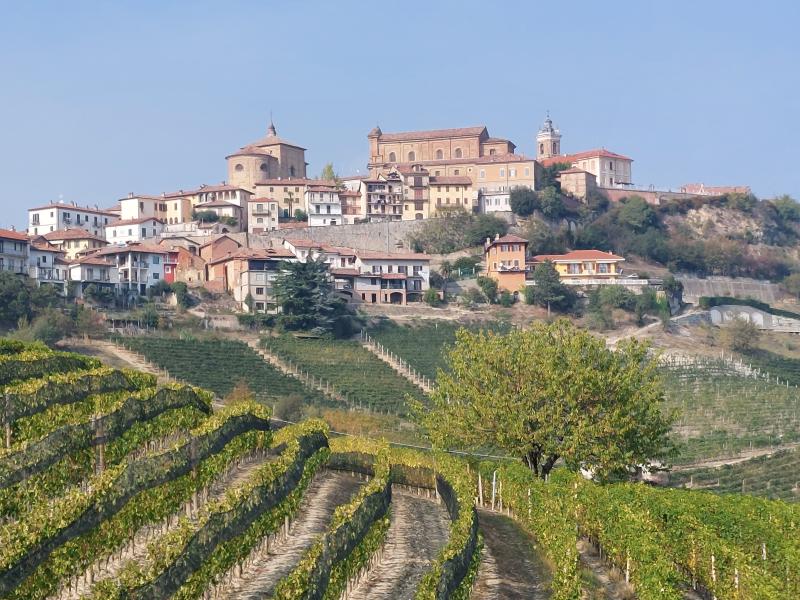 Vista di La Morra, Cuneo (12064)