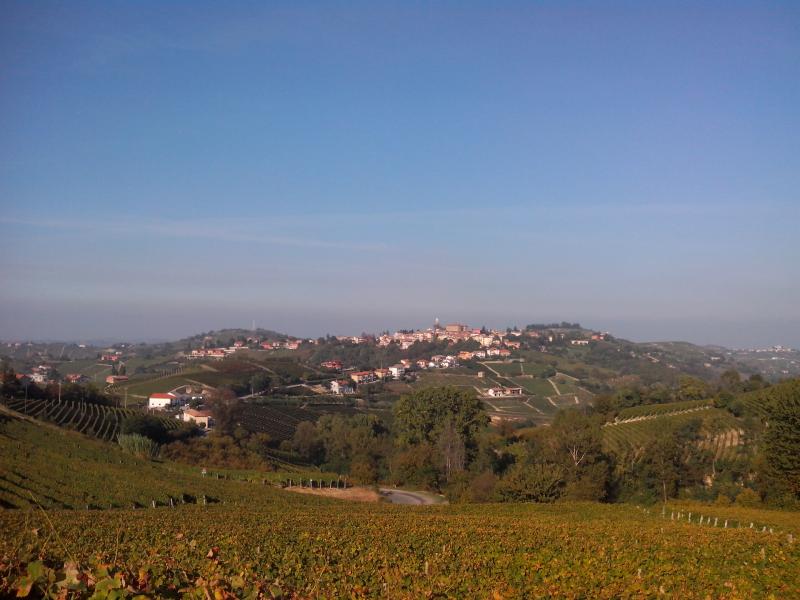 Vista di Mango, Cuneo (12056)