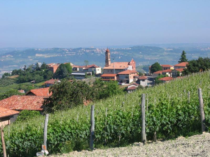 Vista di Treiso, Cuneo (12050)
