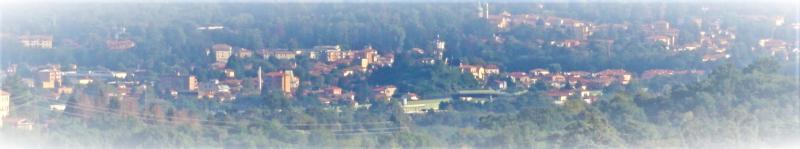 Vista di Luisago, Como (22070)