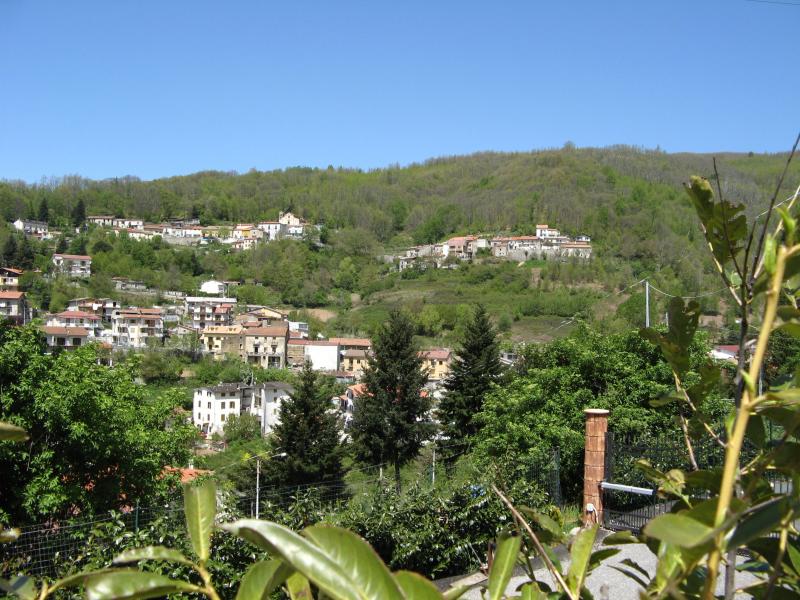 Vista di Colosimi, Cosenza (87050)