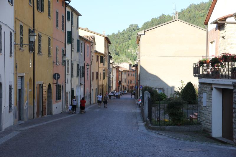 Vista di Tredozio, Forlì-Cesena (47019)