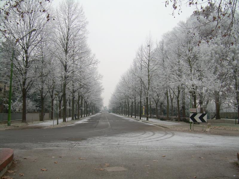 Portomaggiore