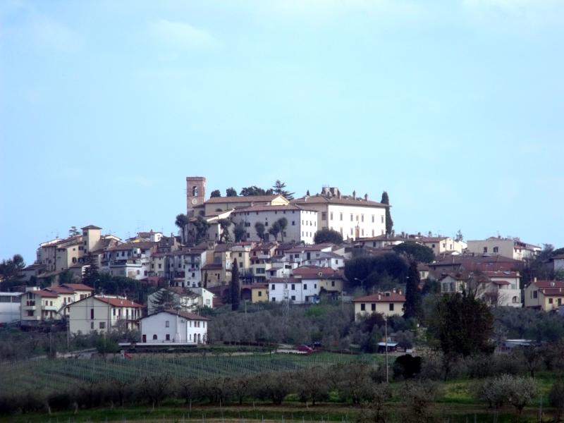 Vista di Cerreto Guidi, Firenze (50050)