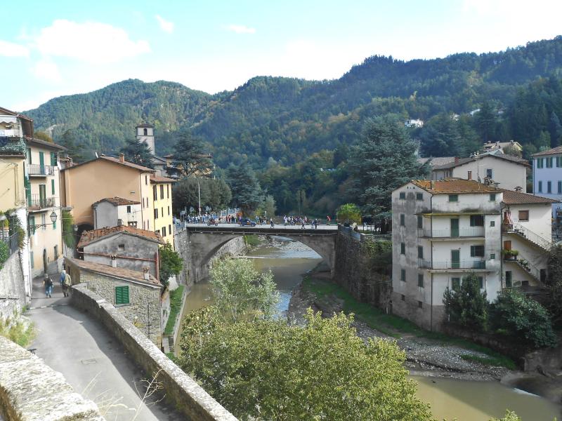 Vista di Marradi, Firenze (50034)