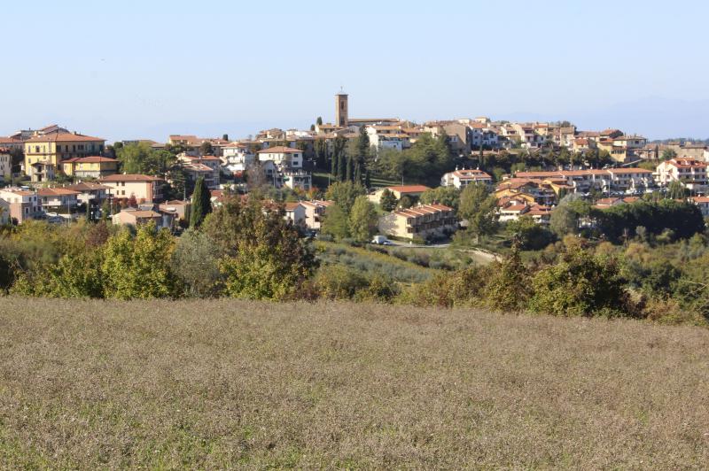 Vista di Montespertoli, Firenze (50025)