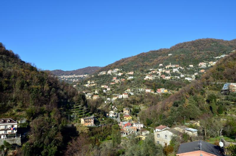 Vista di Avegno, Genova (16036)