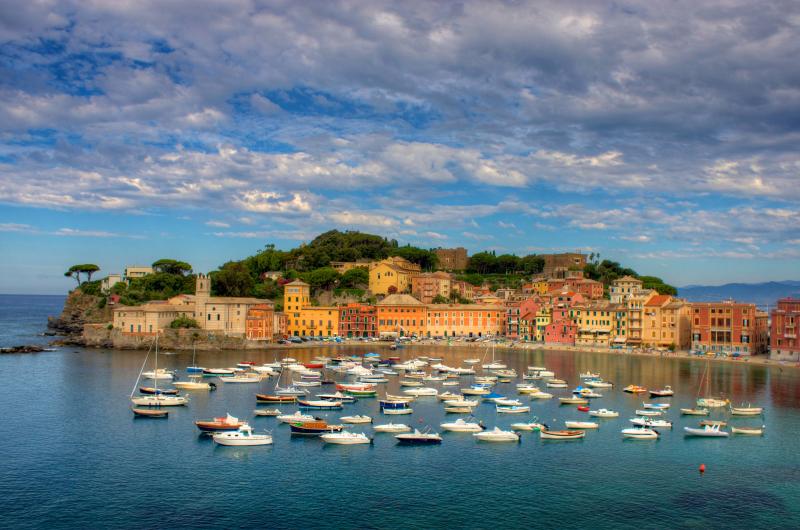 Vista di Sestri Levante, Genova (16039)