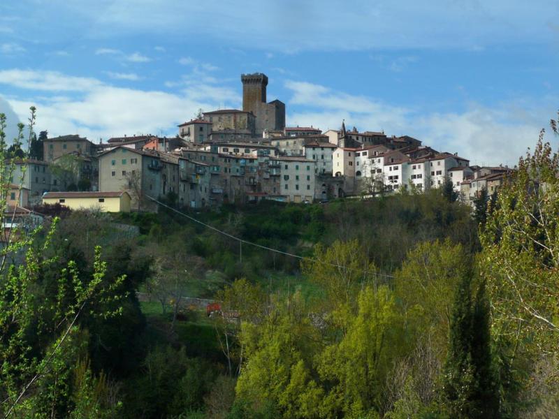 Vista di Arcidosso, Grosseto (58031)