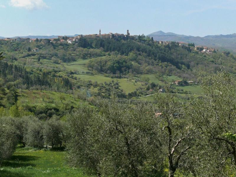 Vista di Castel del Piano, Grosseto (58033)