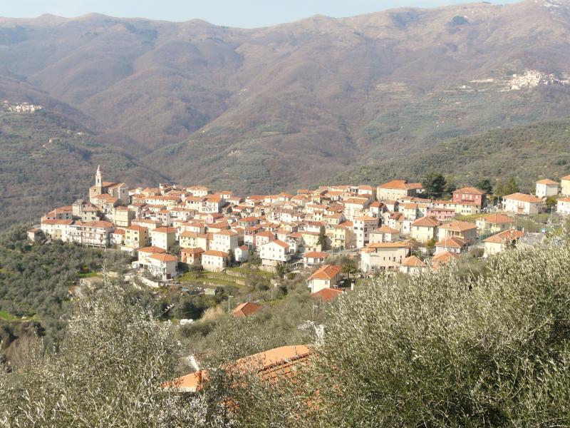 Vista di Aurigo, Imperia (18020)