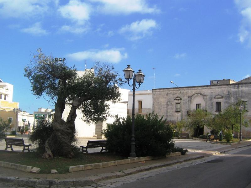 Vista di Castrignano del Capo, Lecce (73040)