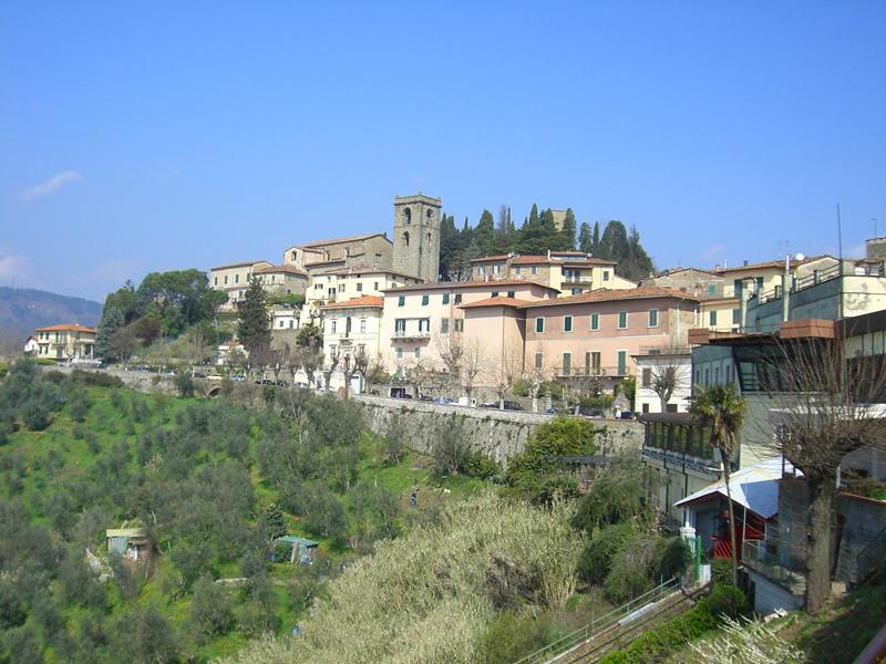 Vista di Montecarlo, Lucca (55015)