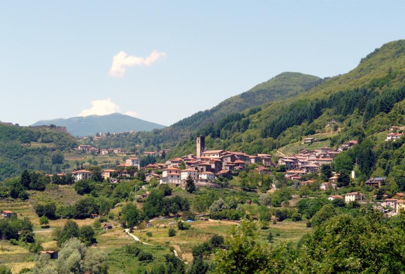 Vista di San Romano in Garfagnana, Lucca (55038)
